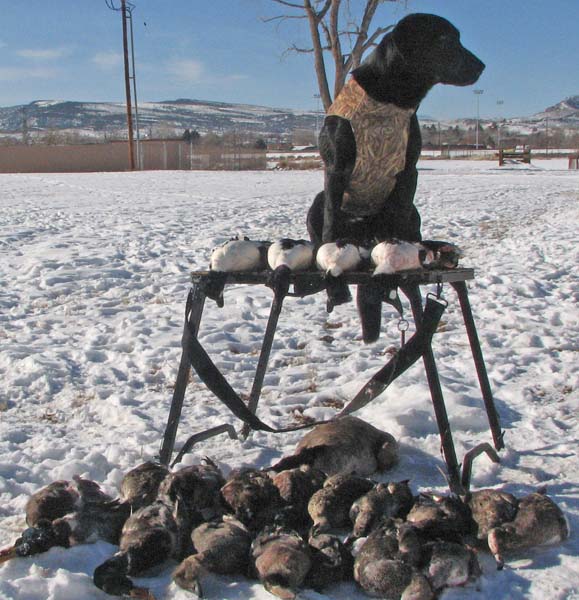 01-09-2010 Wyoming 4