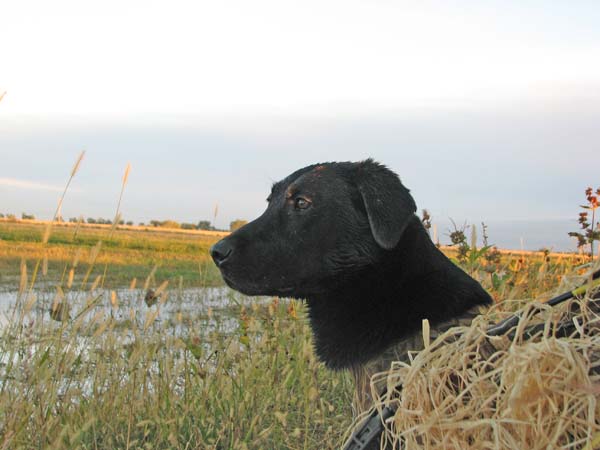 10-10-2010 Nebraska 1